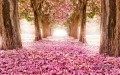 Rosa Blumenpfad Bäume Landschaftsmalerei von Fotos zu Kunst